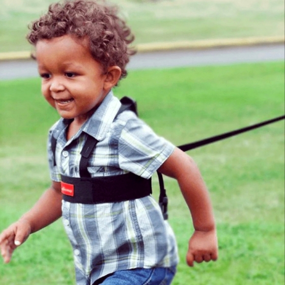 Diono Toddler Safety Harness - Picture 1 of 4